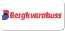 Bergkvarabuss